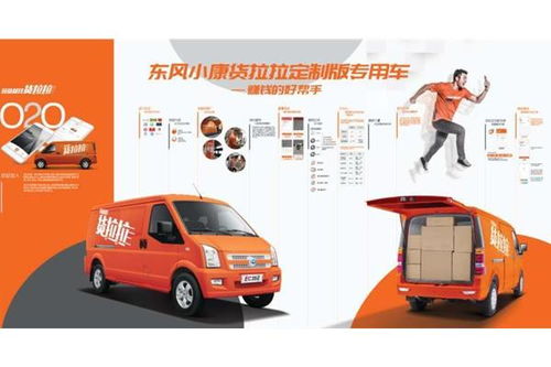 湖南东风风光在易车平台的争议与理性评价