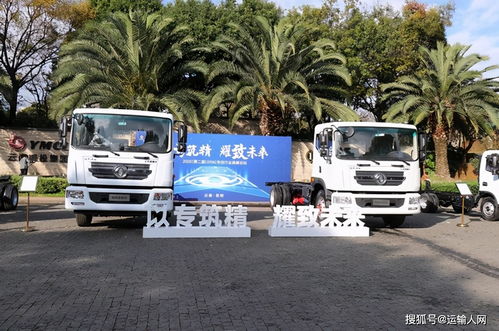 东风轻型车发布“专致”品牌，夯实专用车王者地位